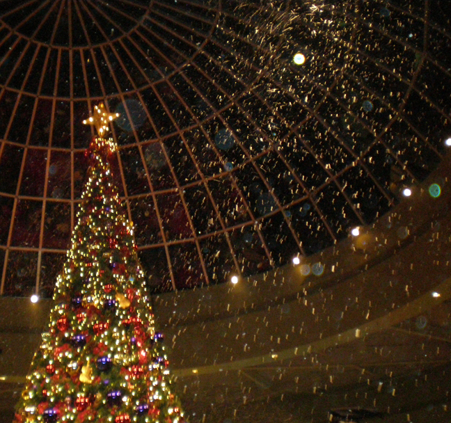 snow at Wiregrass Commons Mall, Dothan, AL 2008