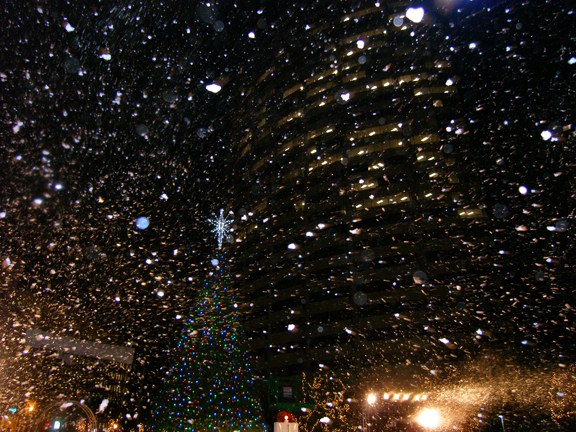 Snow Blizzard in City Of Tampa Park