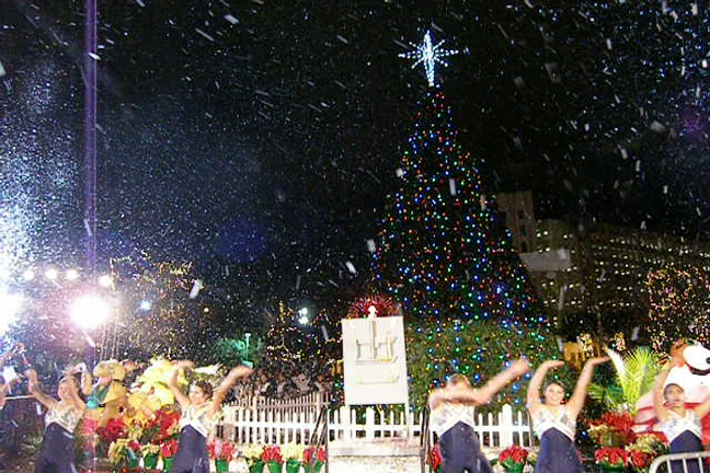 Snow falling at a Holiday tree lighting festival