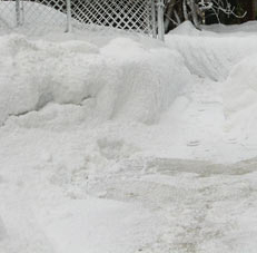 Snowcel fake snow