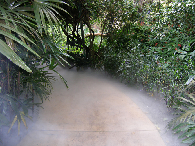 cryo fog on pathway