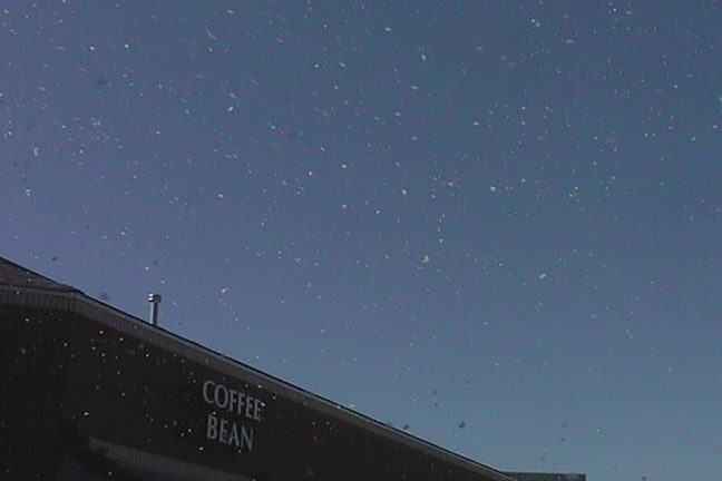 artificial Snowfall at a mall