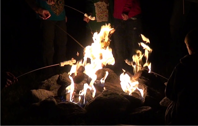 Propane Fire Pits : Campfires For Beach Parties - Special Effects 